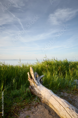 Strand an der Flensburger Förde