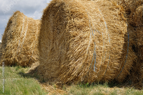 haymaking time - the process of harvesting dryed straw at the agricultural field