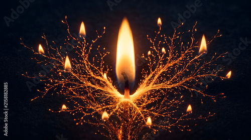 A single large candle flame illuminates a delicate, branching structure with smaller flames, evoking a sense of growth and illumination.