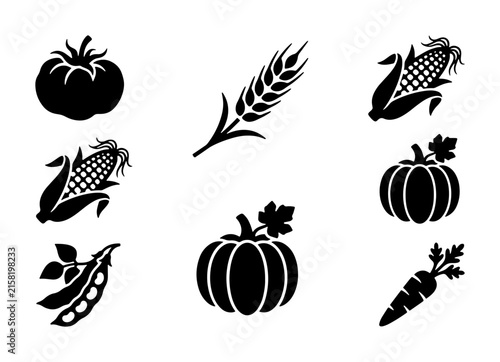 Farm Harvest Icons Set: Tomato, Corn, Wheat, Pumpkin, Carrot, Peas Vector Graphics