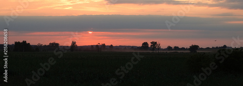 Buzzard on the sky at sunset. Sunset over the river.