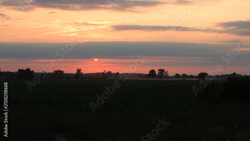 Sunset over the river, a soaring bird at sunset. Bird flying in the sky. buzzard on the sky.