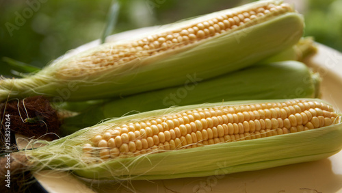 Close-up of fresh corn on the cob with juicy golden kernels on a large flat plate. Garden harvest. Grow your own. Organic farming.