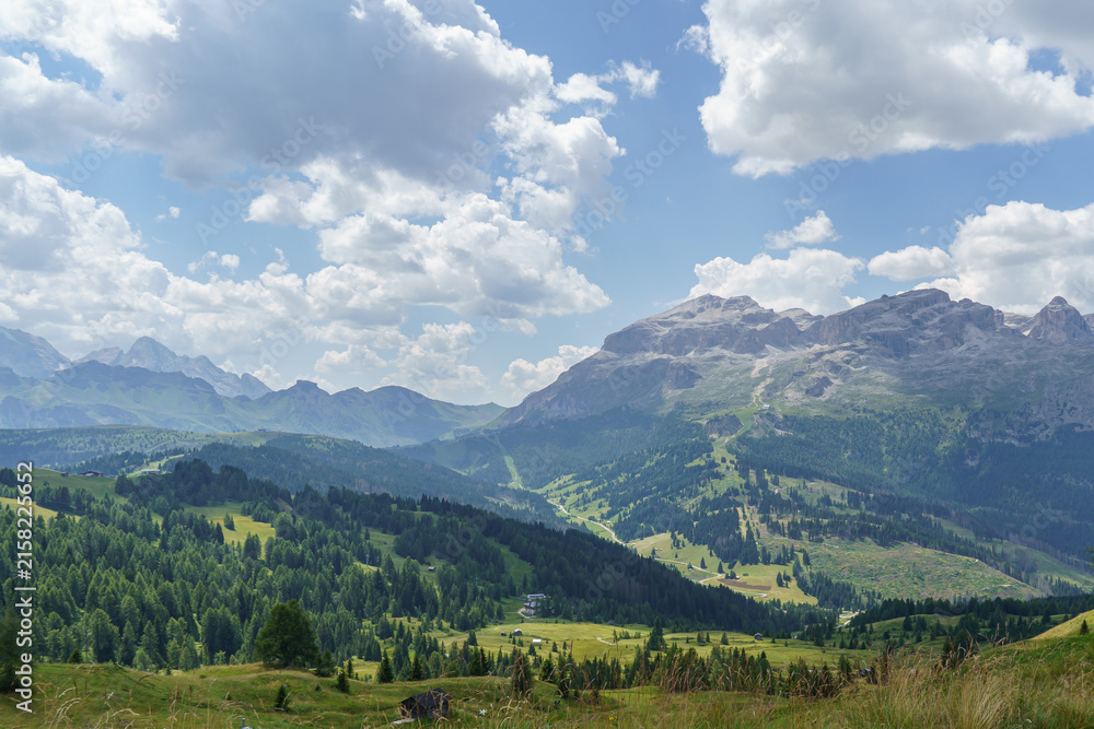 Fototapeta premium Sommer in Südtirol