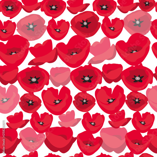 Pattern with  poppy flowers on a  transparent background