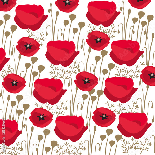 Picture with poppy flowers on a white background