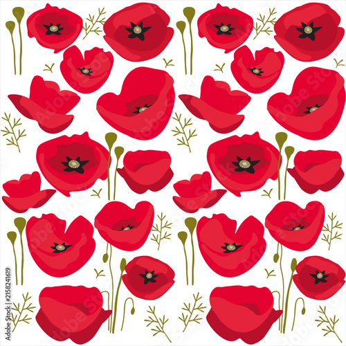 Picture with poppy flowers and leaves on a light background.svg