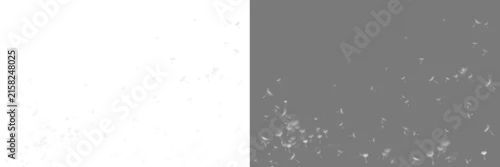Panel kuchenny z motywem White blowing dandelion seeds png. Relea dandelion  fluffy seeds. Dandolian overlay. Isolated dandelion  seeds flying away freely in air.  White dandelion seeds flying on transparent background 