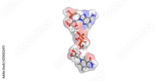 Cuadro en lienzo NADPH,  coenzyme for cellular redox and biosynthesis, 3D molecule 4K