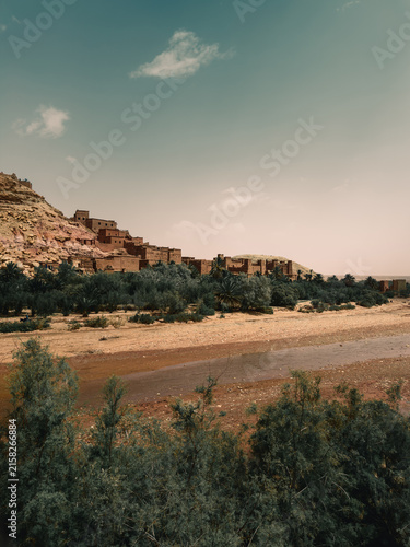 Palm oasis below rocky desert hill