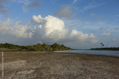 Pink Sand Beach, Tikehau, Tuamotu Archipelago, French Polynesia
