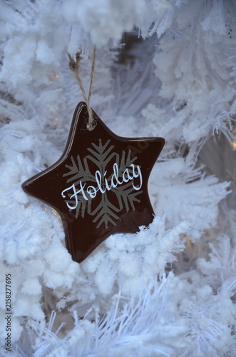 Christmas star holiday ornament on snow tree branch