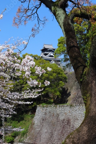 春の熊本城