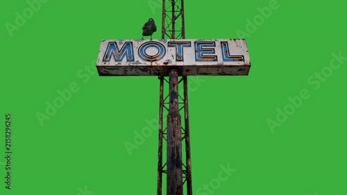 Raven on weathered motel sign green screen low angle