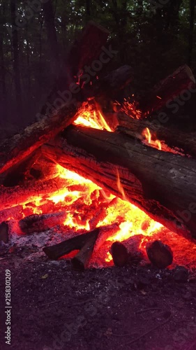 Burning bright fire with smoke in the forest summer dark time. Camping in the wood. Beautiful landscape of nature and trees. Natural red orange sparks, flames, blaze. Rest by the fire.