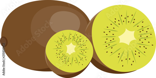 Fresh kiwi fruit vector illustration with whole and sliced pieces on white background