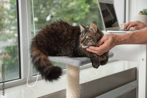 Mature man petting cute cat...