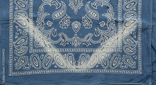 Blue Paisley Bandana with White Feather Detail.