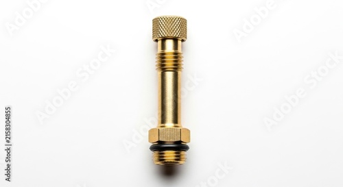 Brass threaded pipe fitting with black rubber seal.