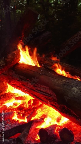 Burning bright fire with smoke in the forest evening warm fireplace in dark time. Camping in a wood. Beautiful landscape of nature and trees. Natural red orange sparks, flames, blaze. Rest by the fire