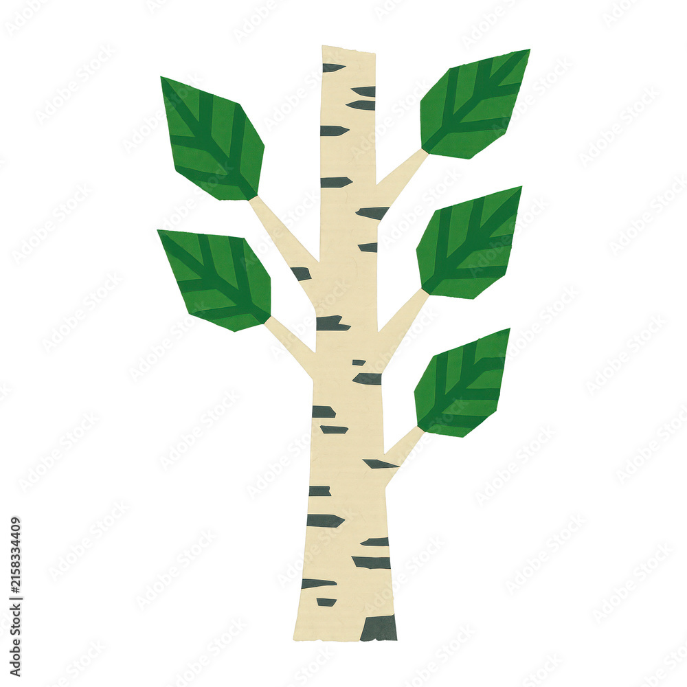 Fototapeta premium PNG Simple birch tree illustration