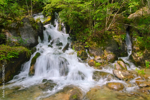 Cuadro en lienzo 岩手県の早池峰山麓、岳川枝沢にかかる笛貫の滝