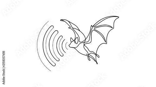Bat Echolocation Sound Waves Flying Isolated