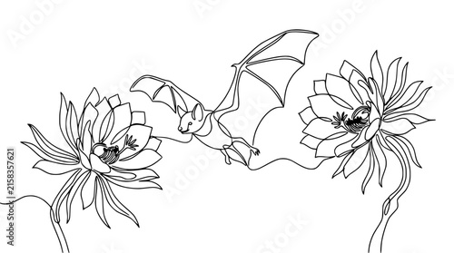 Bat Flying Between Night Blooming Cereus Flowers, Single Line Art