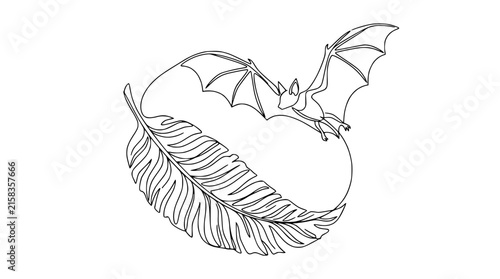Minimalist Bat and Feather Line Art - Isolated on Transparent Background