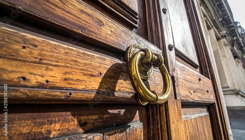 Ornate Polished Brass Door Knocker Mounted on Textured Vintage Wooden Door