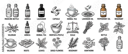 фотографія Herbal Medicine Ingredients and Remedies Collection