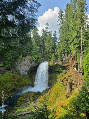waterfall in the forest