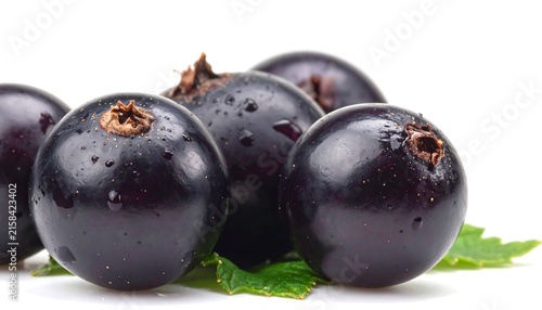 Fresh purple eggplants with green stems on white.