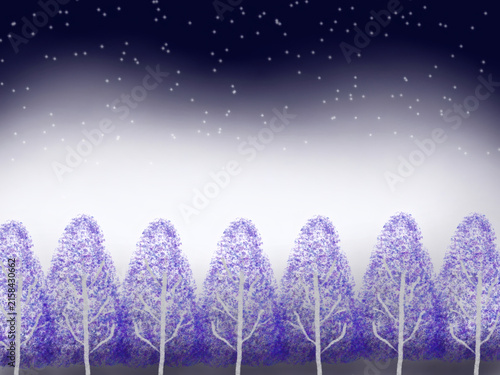 Fotografía Quiet Winter Forest with Gently Falling Snow