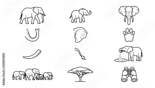 Canvas Print Elephants Icons Set with Safari Elements, Including Trees, Footprints