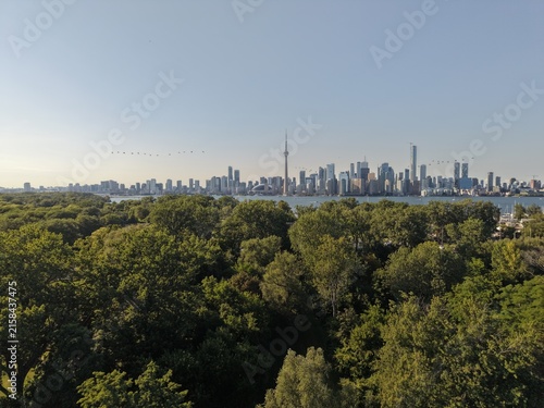 Фотография Panoramic drone shot capturing the dense lush forests of the Toronto Islands con
