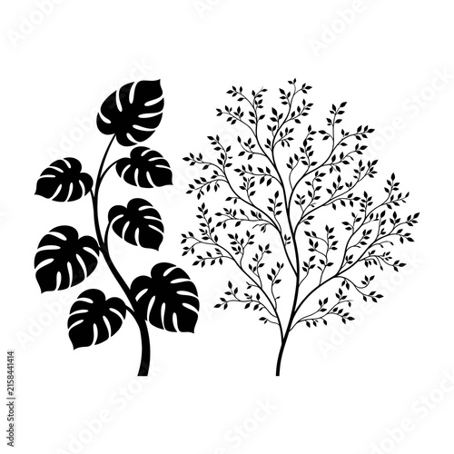 Monstera and tree silhouettes on white background plant illustration