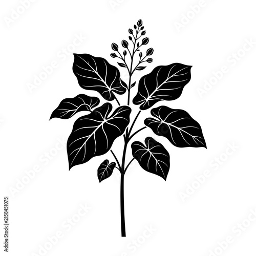 Black silhouette of a plant with leaves and flowers on a white background