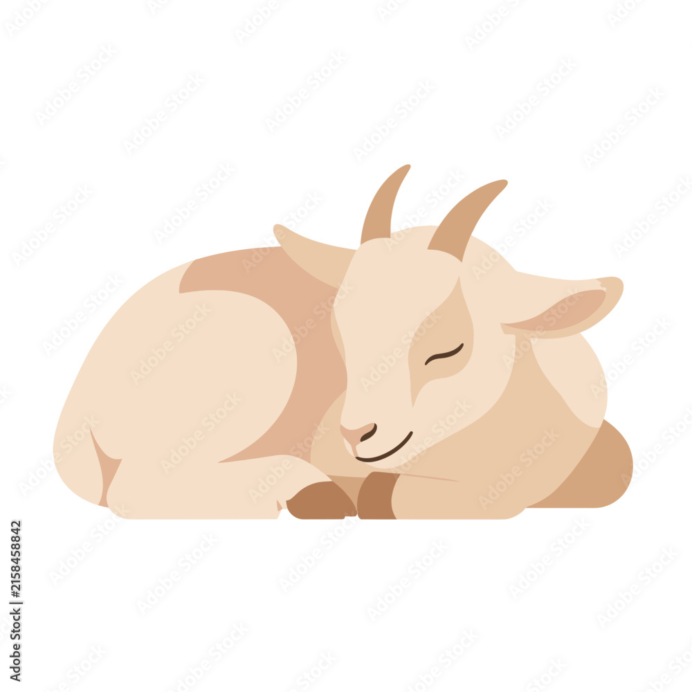Fototapeta premium Relaxed baby goat resting peacefully in cozy curled position with exuding calm contentment soft