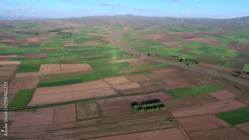Aerial Spain poplar trees across farmland parcels brown fields rural terrain detail.