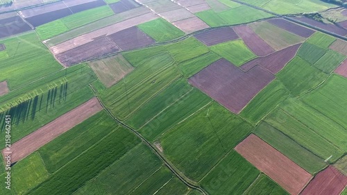 Aerial Spain poplar trees across farmland parcels brown fields rural terrain detail.