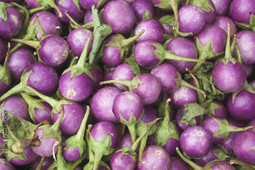 Many purple ball eggplants as background	