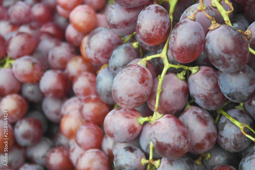 Fresh grapes close up as background	