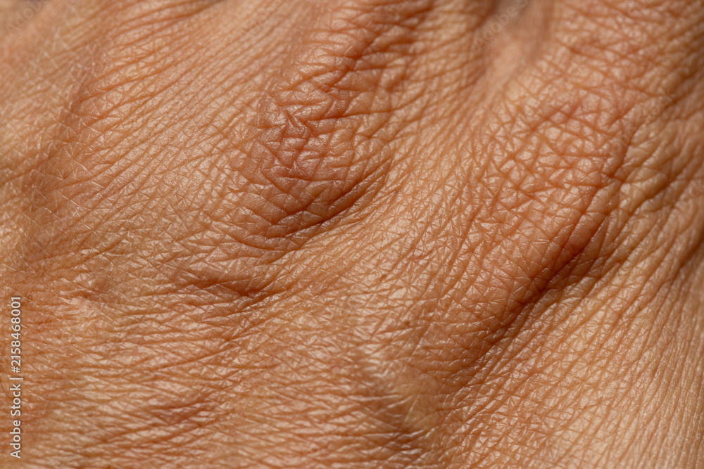 Fototapeta premium Macro Close-up of Aging Human Skin Texture,Detailed close-up macro photograph showing the intricate texture, wrinkles, and fine lines of aging human skin, highlighting pores and natural dermal details