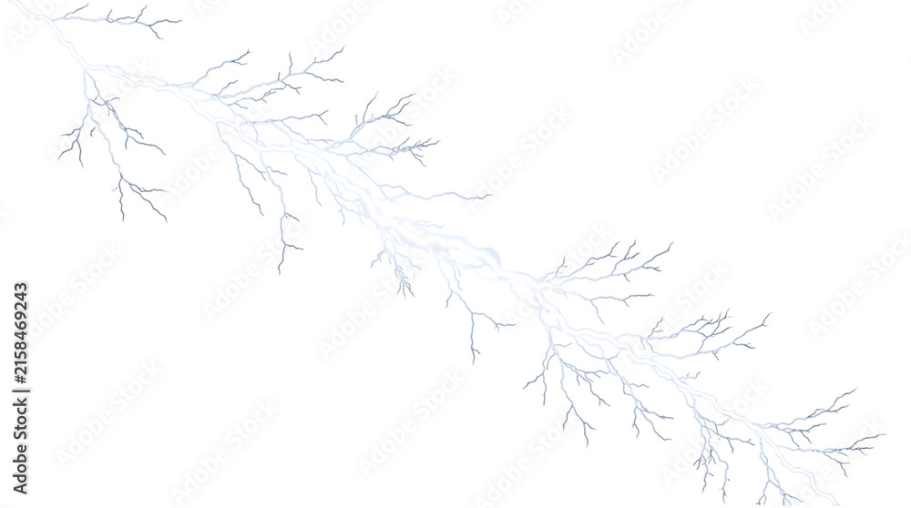 Fototapeta premium Delicate ethereal branches reaching across a stark transparent background suggesting winter's quiet beauty