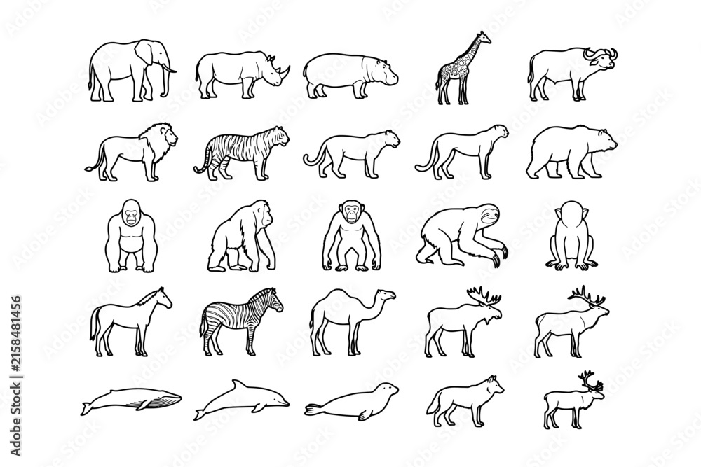 Naklejka premium A collection of hand-drawn sketches depicts a diverse array of wild animals from different continents, showcasing their unique forms and characteristics.