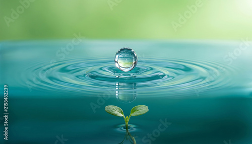 Pure water drop falling on calm turquoise liquid surface with concentric ripples and growing green sprout seedling underneath sustainability and life concept