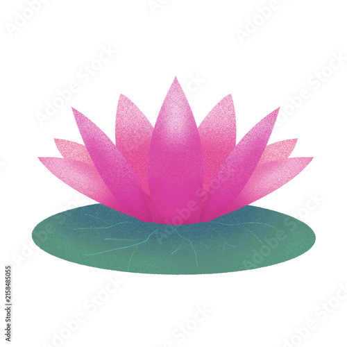 Lotus1