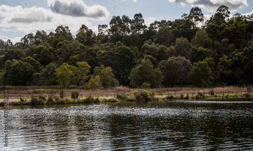 Gardens forest lake with afternoon sunlight