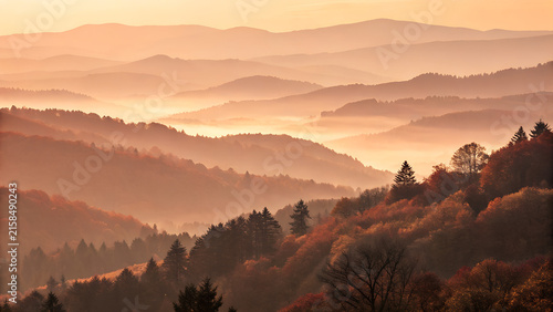 Misty mountain landscape at sunrise, rolling hills with autumn forest in golden morning light. Scenic wilderness valley with fog and orange trees, peaceful nature background for travel and